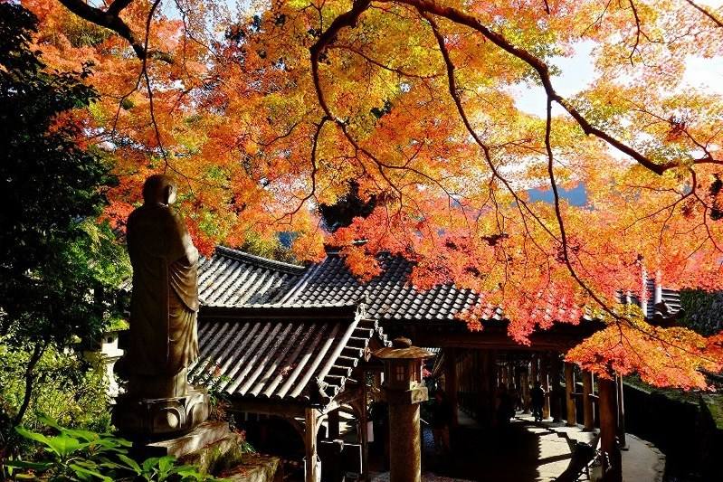 Tradisi Musim Gugur di Jepang 