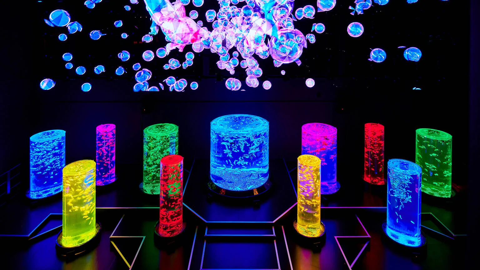 Art Aquarium Ginza, Tokyo